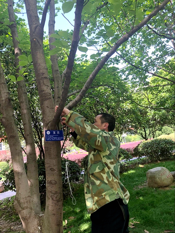 У԰�������Ŀ�չ��ľ���ƹ���